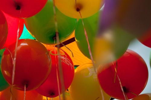 Ballons in mehreren Farben von unten fotografiert