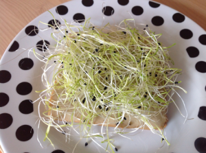 Brot mit veganem Rauchfleisch, Tomaten-Basilikum-Paste und Sprossen