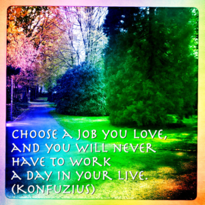 Konfuzius "Choose a job you love"